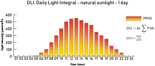 en-DLI-Daily-Light-Integral-sample-one-day