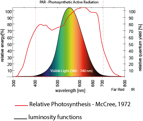 Par on sale vs lumens