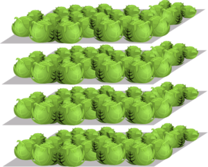 Anwendungen 11 ENElement 10@2x 8 vertical farming application multilayer