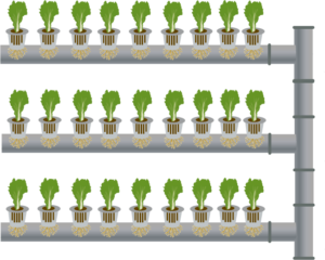 Anwendungen 12 ENElement 7@2x 8 vertical farming application greenwall
