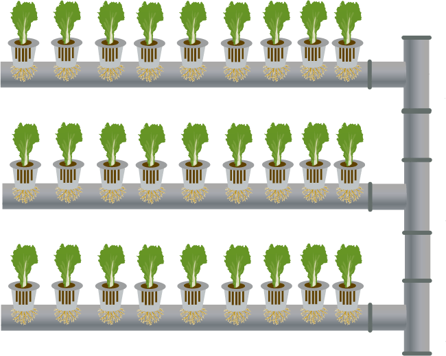 vertical farming application greenwall