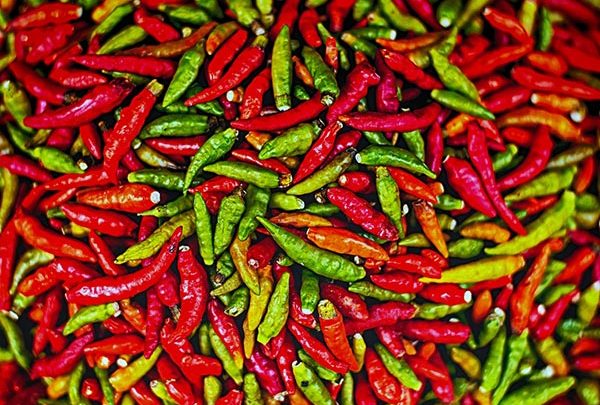 chili - pepper