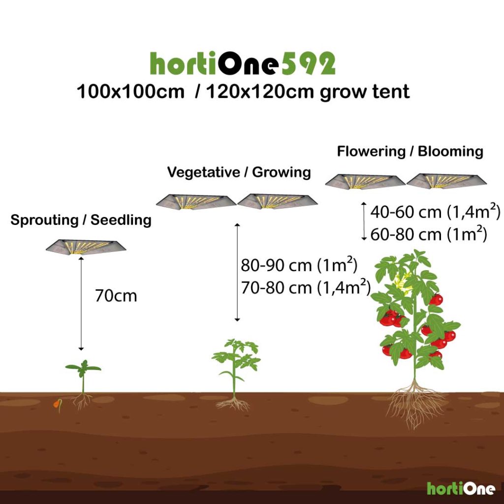 Replacement and the right Distance of your grow light hortione