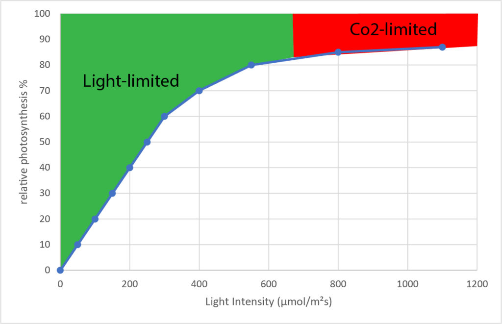 Light-intensity-photosynthesis-