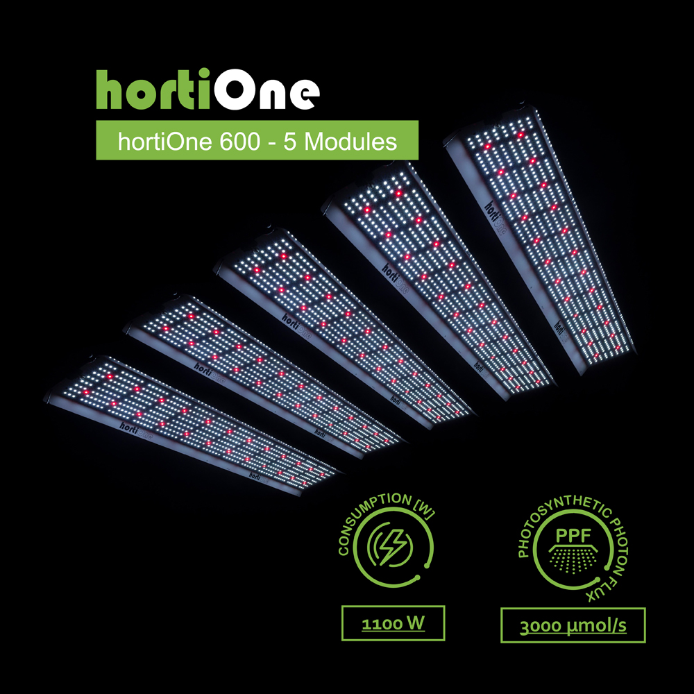 5x hortiONE600 - 1100W - 3000µmol/s