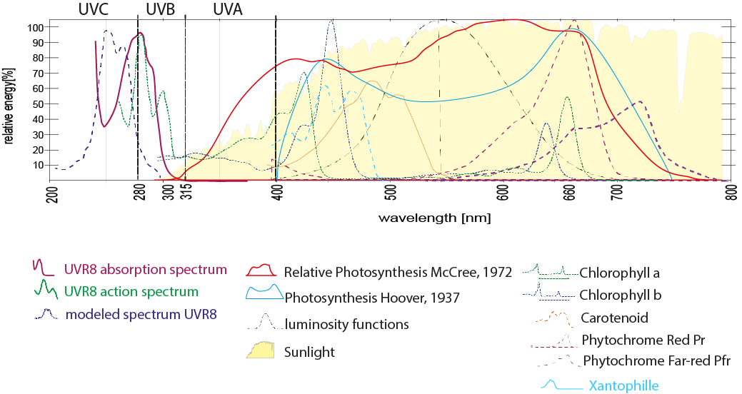 Ultraviolet radiation UV Absorption-Curves-Plants