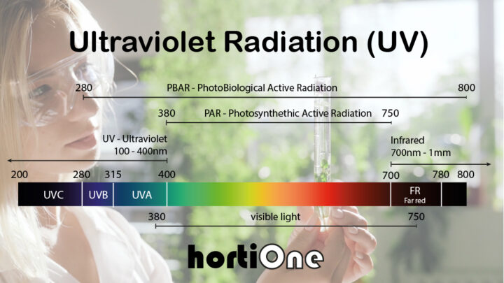 ultraviolet radiation uv for plants
