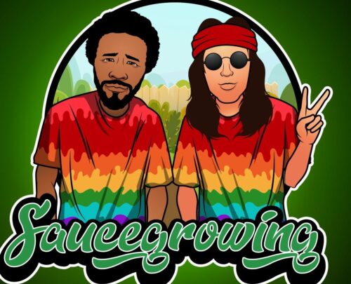 saucegrowing-be-logo