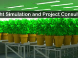 hortiONE-Light-Simulation-CSC-Consulting