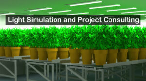 hortiONE-Light-Simulation-CSC-Consulting