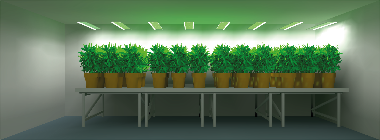 Planifique su proyecto de cultivo - Simulación de luz y asesoramiento para un cultivo interior eficiente hortiONE600 120x480 plants Full 1