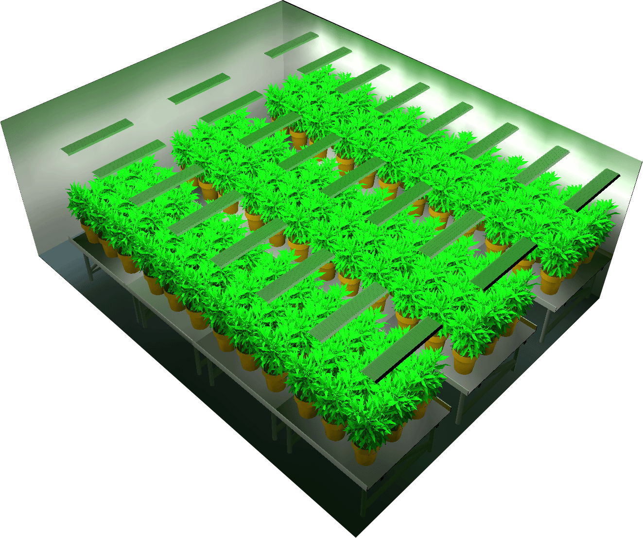 Planifique su proyecto de cultivo - Simulación de luz y asesoramiento para un cultivo interior eficiente hortiONe600 .Relux Simuilation 3d Room top 2